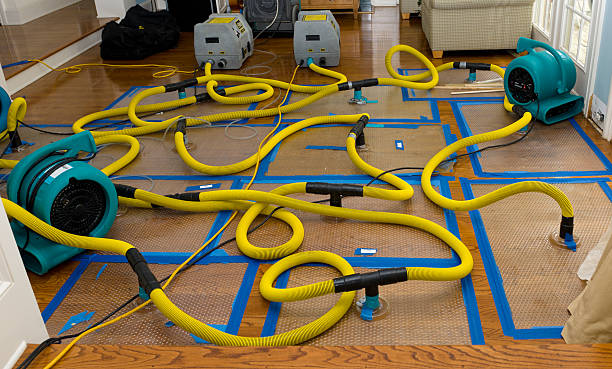 Professional Flood Damage Restoration technician working in Stuart, FL